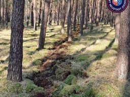 Ganztagsausbildung zum Thema Thema Wald- und Vegetationsbrandbekämpfung 